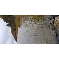 King tide Yorktown image